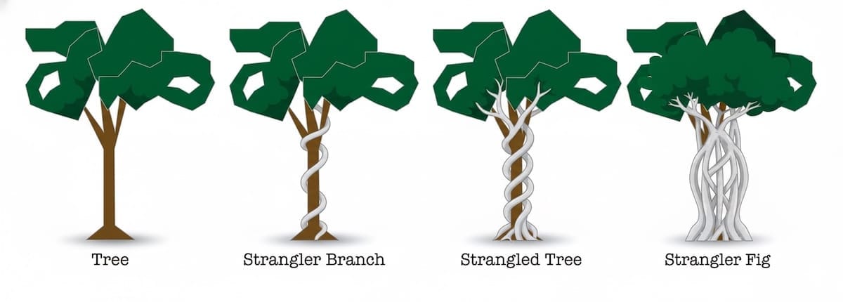Strangler Fig Pattern